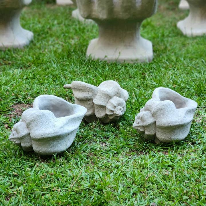 Concrete Conch Shell Planter for wholesale by Selcouth Home