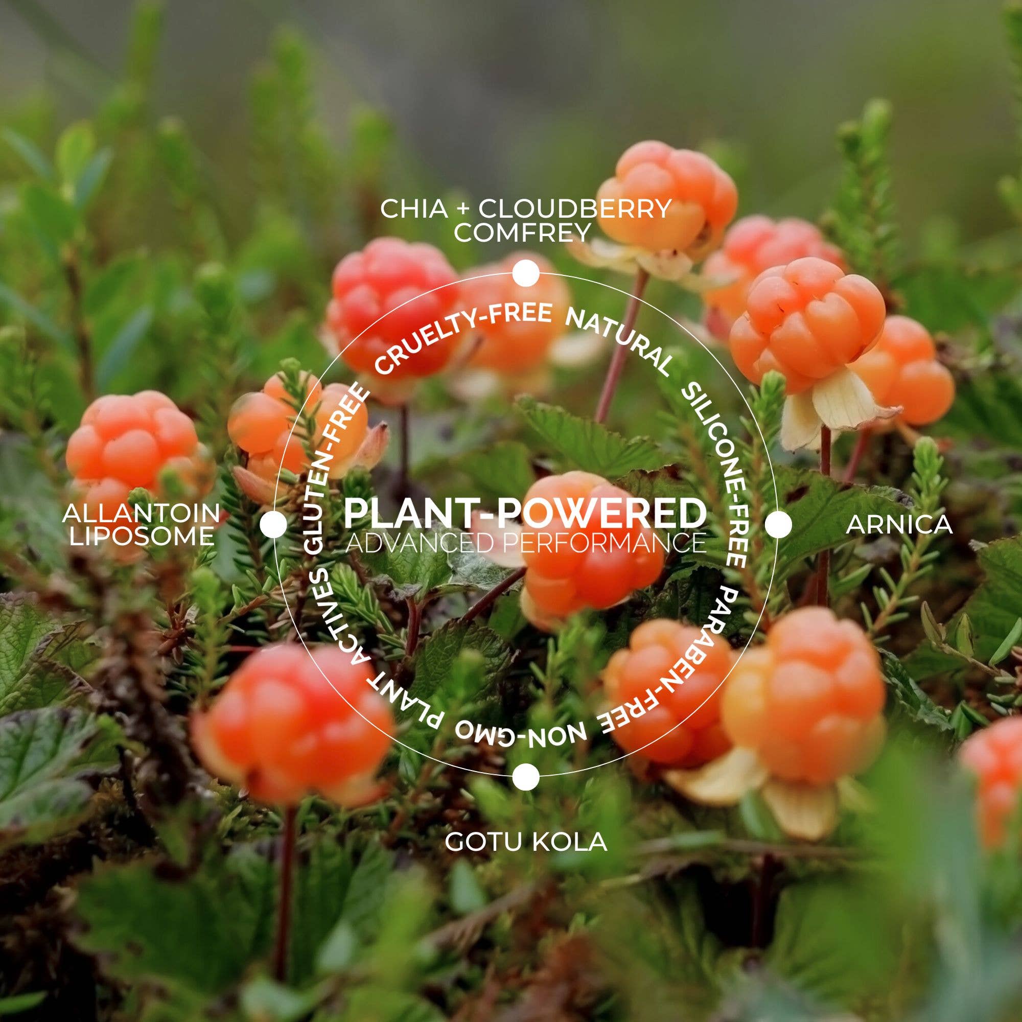 Fitglow Beauty - Vente Crème hydratante pour le visage - Échantillon Deluxe de Crème Confort Nuage - Lot de 103