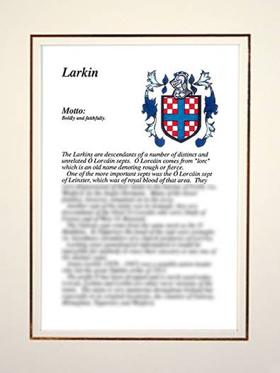 Larkin för wholesale av Family Histories