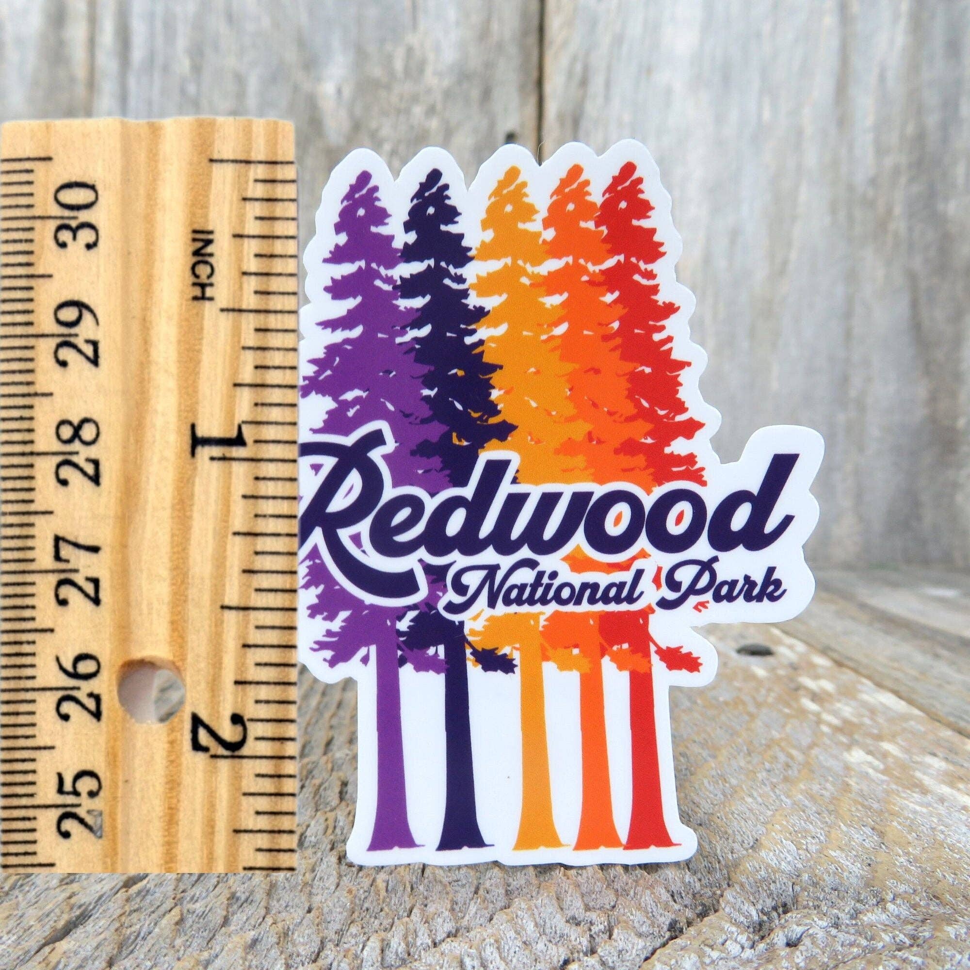 Kirk's Krafts - Wholesale Sticker - Redwood National Park California Trees Sticker Redwood Trees Purple Orange1