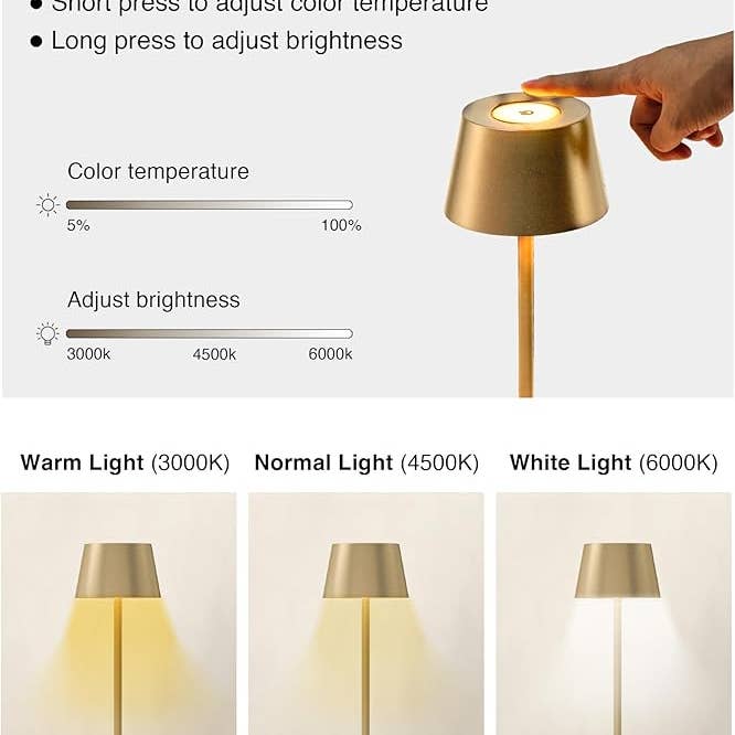 LivingTaste Home Inc - Wholesale Accent/Desk Lamp - 2-Pack Cordless 5000mAh Rechargeable LED Table Gold Lamp