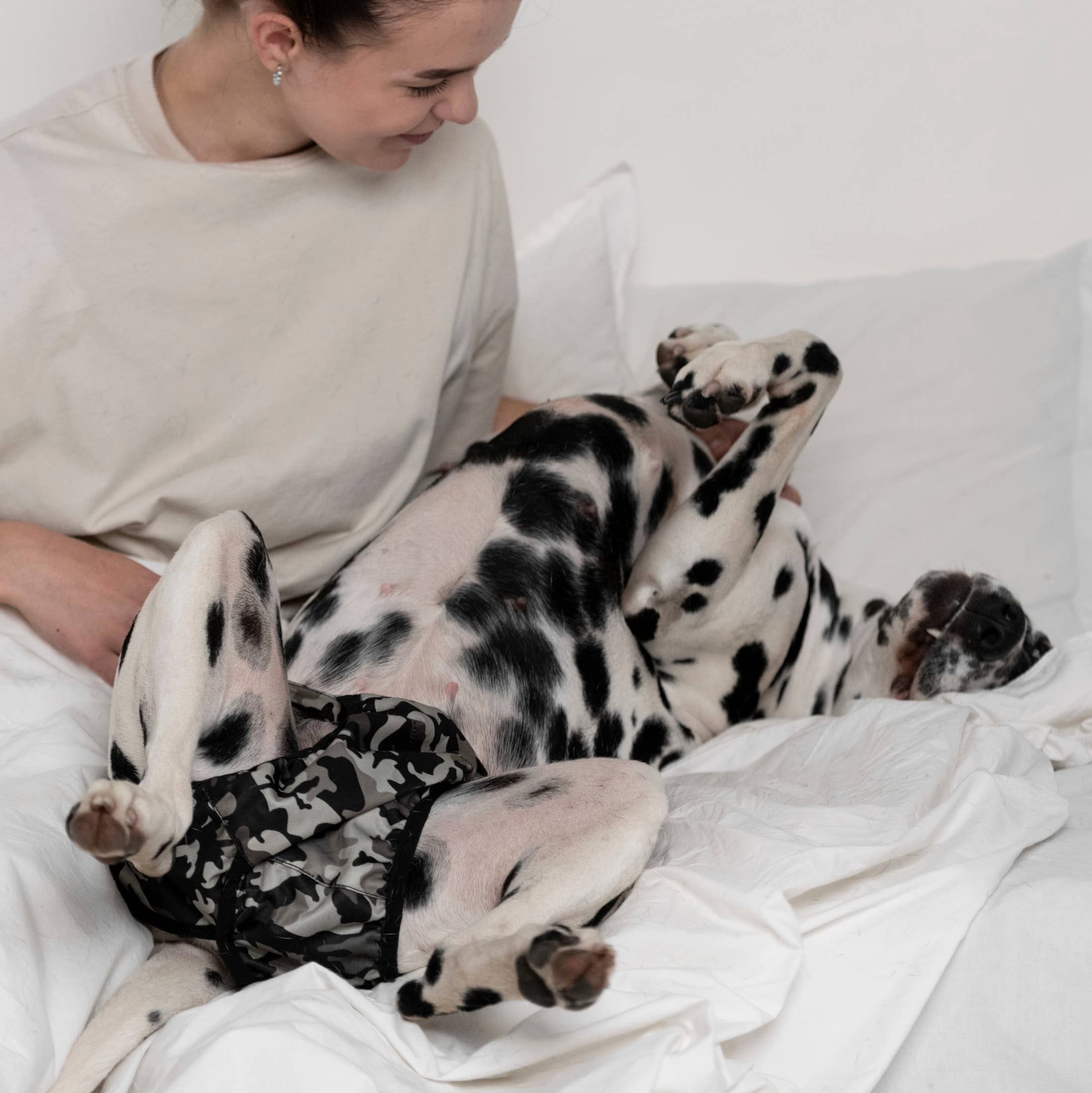 FINNERO - Wholesale Pet Diaper - Dog - FINNERO BRENDA Dog Hygiene pants, 3 colors, Washable Diaper3