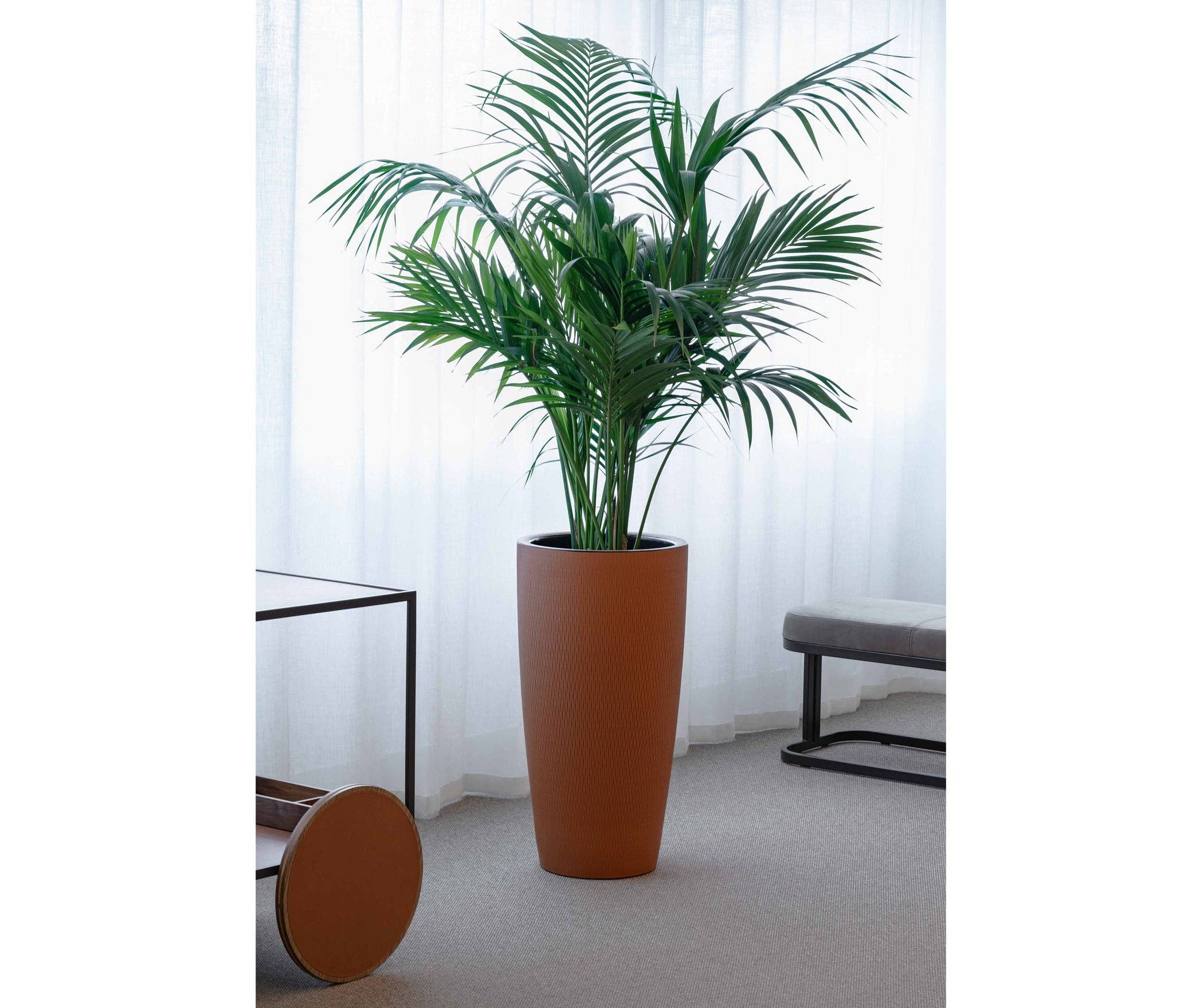 Pinetti - Wholesale Plant Pot - Silvy Plant Pot1