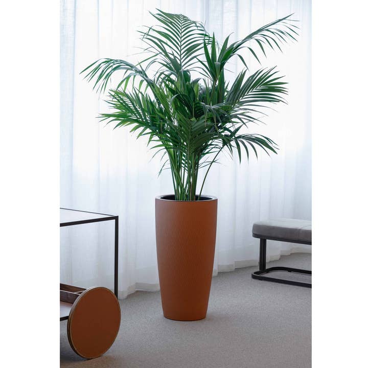 Pinetti - Wholesale Plant Pot - Silvy Plant Pot1