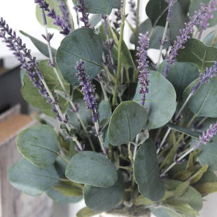 EUKALYPTUS-LAVENDEL für den Großhandel von Starlight Wholesale LLC.