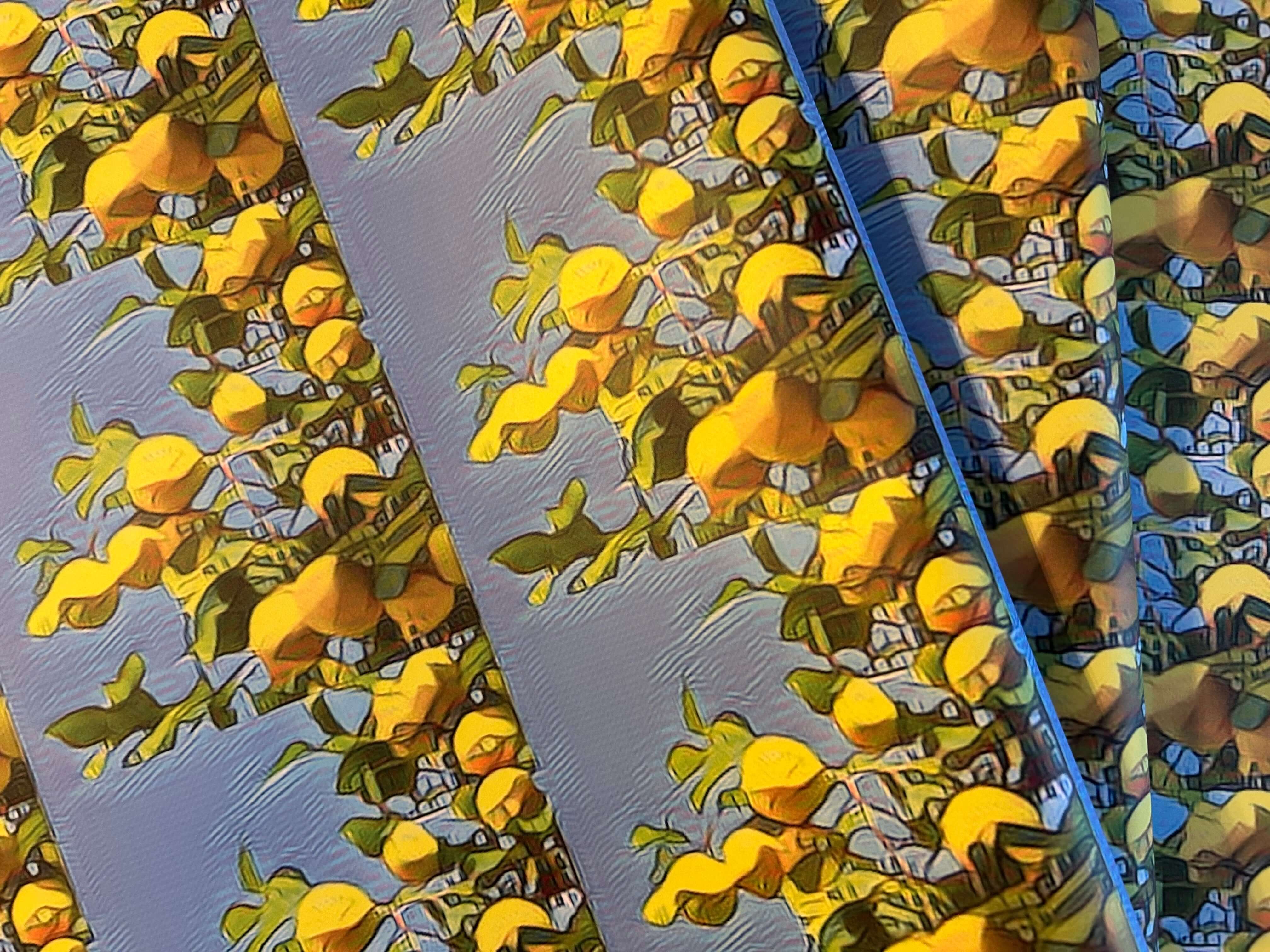 The Life Cycle Design – wholesale Flat wrap – Amalfi lemons 6 wrapping sheets, 120gsm, 500mm x 700mm5