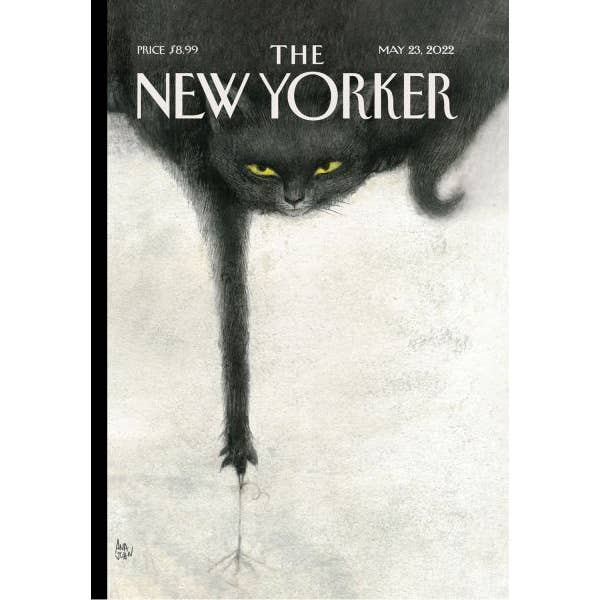 Vevoke - Wholesale Everyday greeting card - Card-Making Mischief