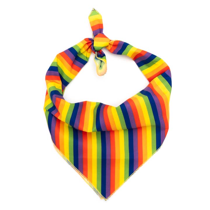 Regenbogen-Bandana für den Großhandel von The Worthy Dog