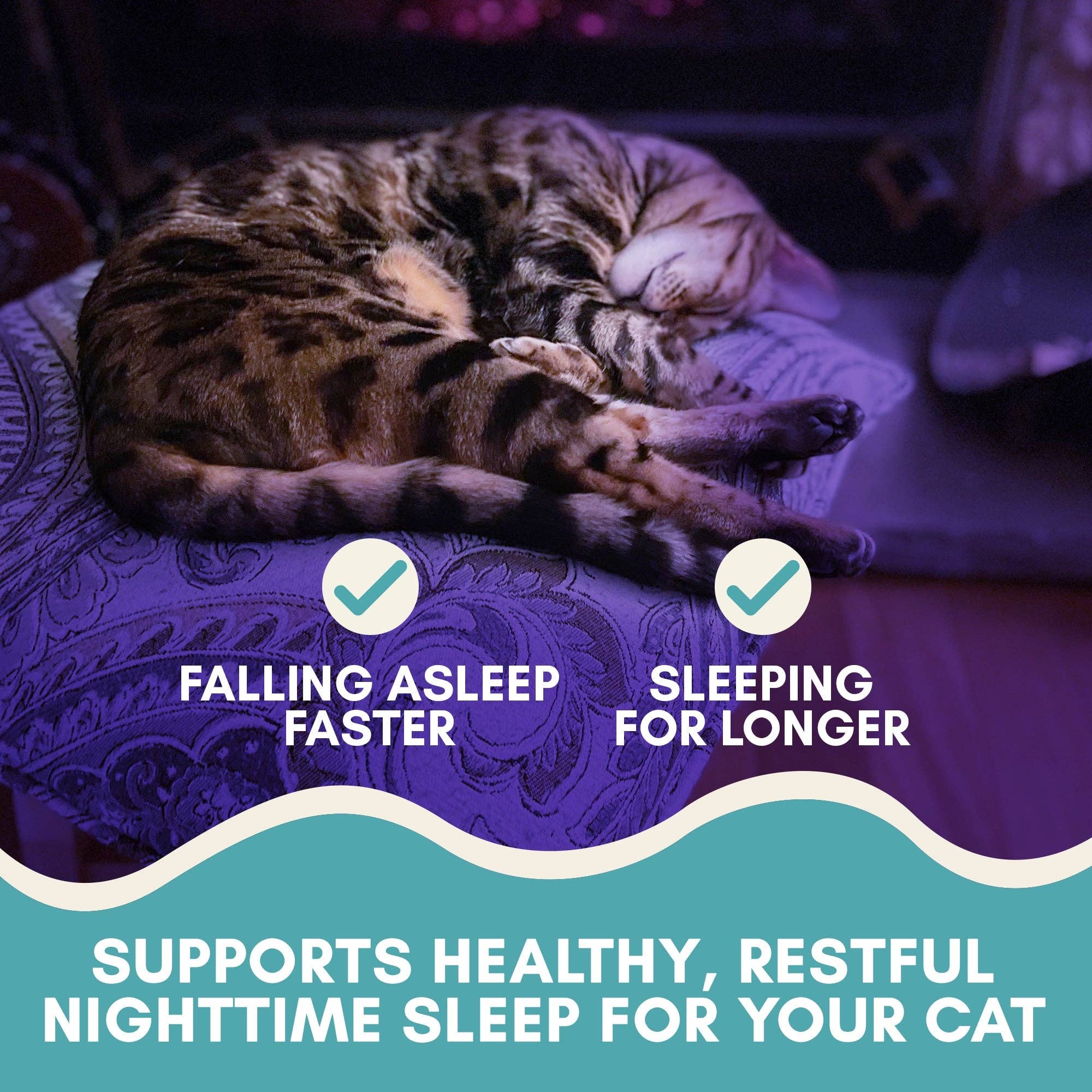 Outdoor Bengal - Wholesale Pet Treats - Cat - Cat Calming Sticks8