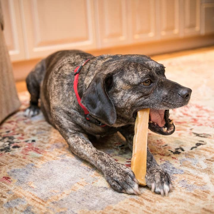 Kathmandu's Authentic Himalayan Cheese Yak Chew - Wholesale Pet Chew Toy - Dog - KATHMANDUS - Yak Cheese Dog Chew (S, M, L, and XL)