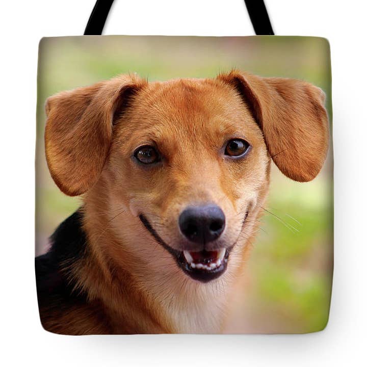 TRAGETASCHE - THE SWEET PRETTY DOG PORTRAIT-TRAGETASCHE für den Großhandel von sorayadapuzzostore