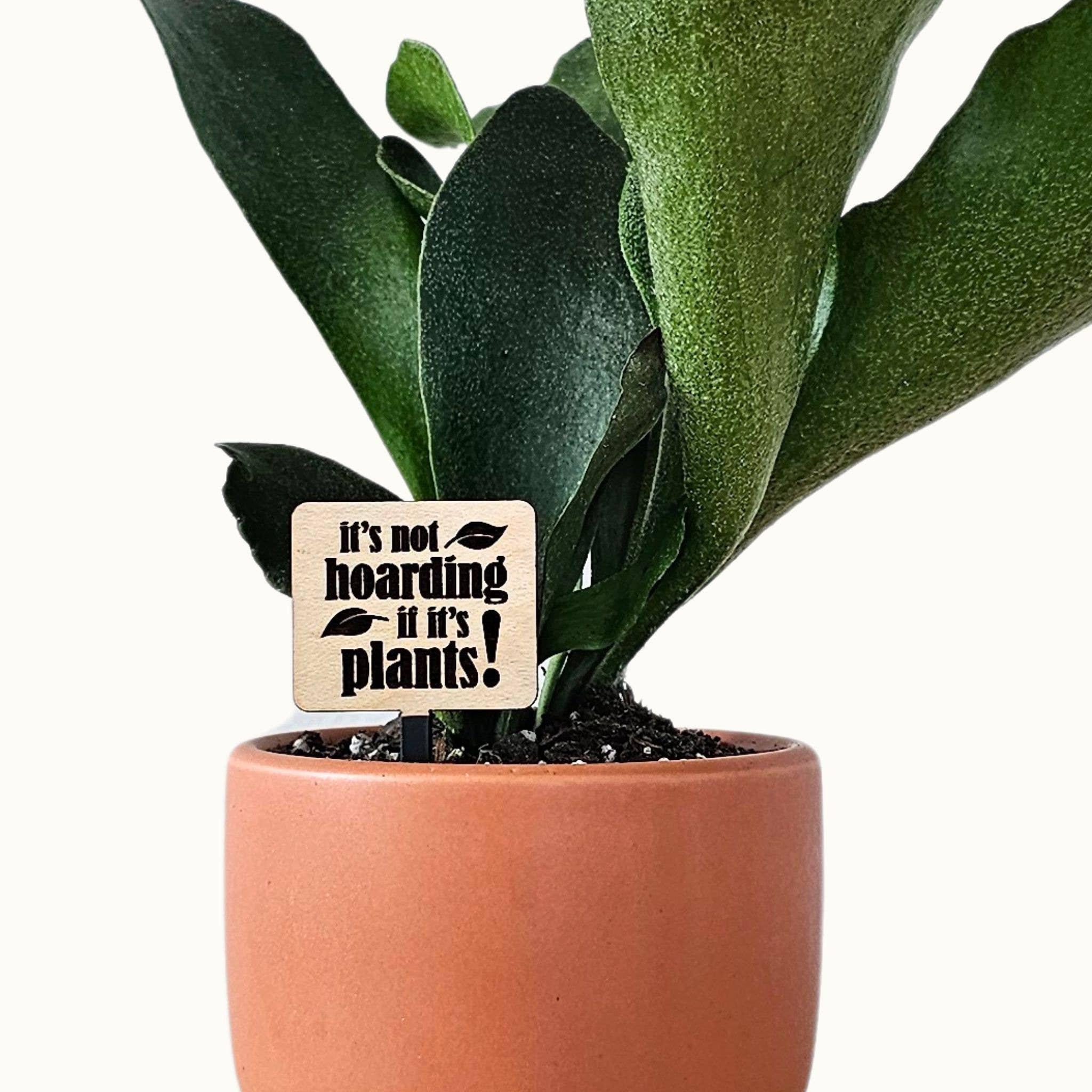 Leaf & Node - Wholesale Plant Pot - Funny Plant Sayings, Indoor Plant Accessories - Plant Stakes3