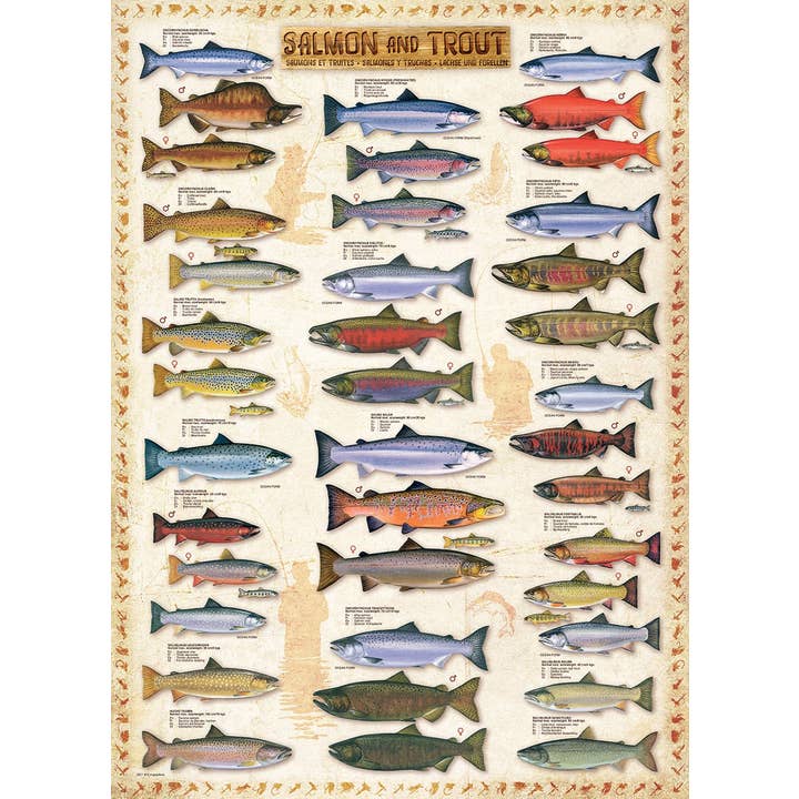 Eurographics Puzzles USA - Wholesale Puzzle - Adult - Salmon & Trout1