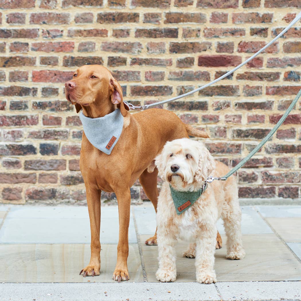 Sweet William Designs - Wholesale Pet Bandana - Dog - Bandana - Grey Tweed5