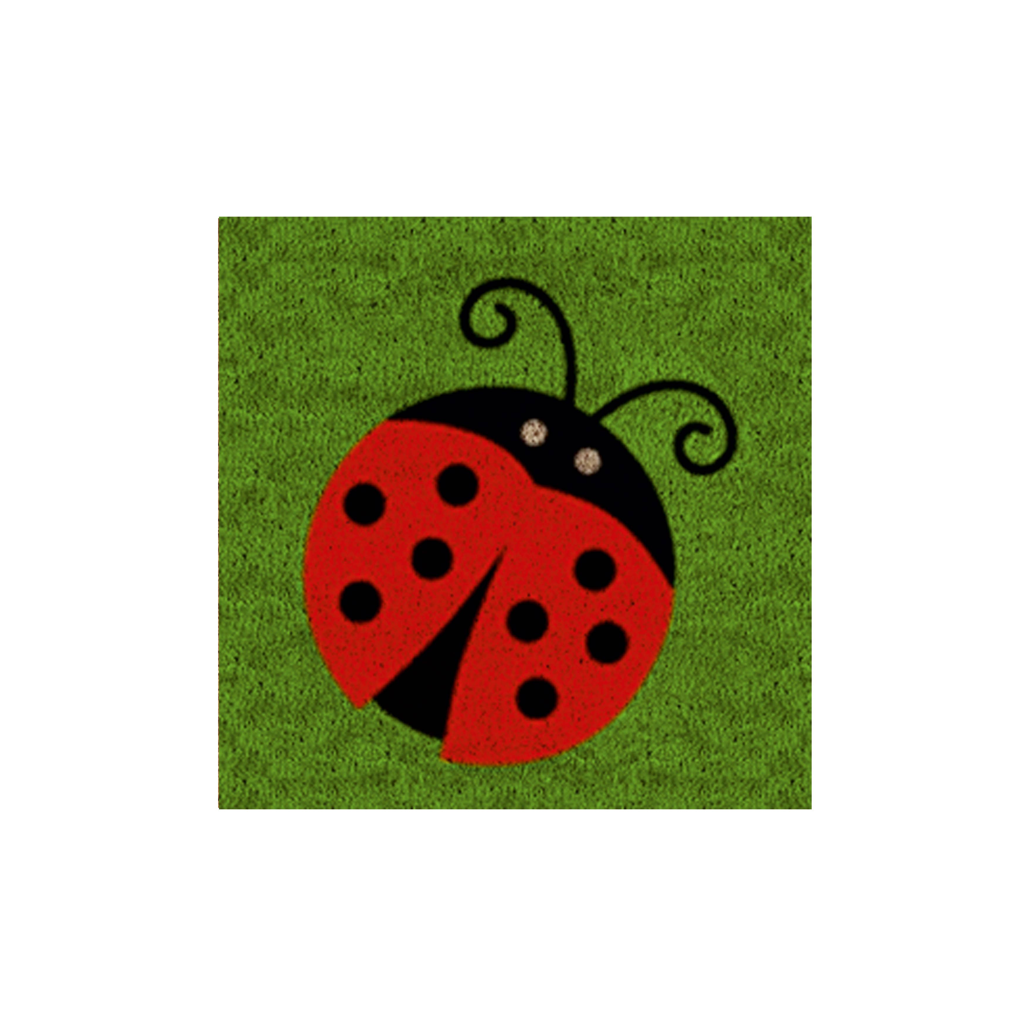 Calloway Mills - Wholesale Door Mat - Interchangeable Insert for 17" x 41" Rubber Monogram Doormat31