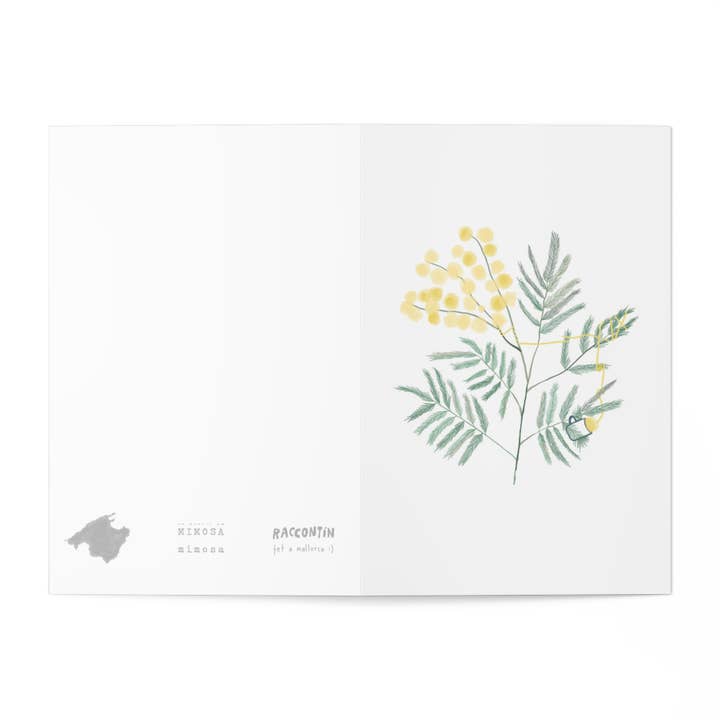 GREETING CARD - MIMOSA for wholesale by Raccontin