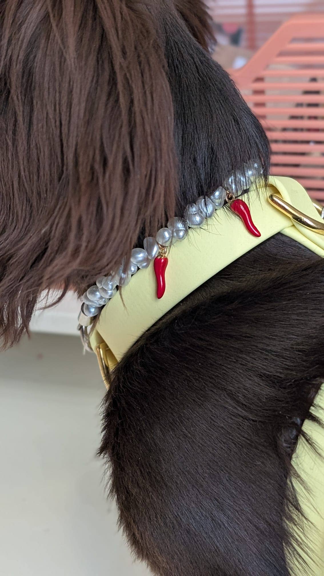 Aura - Wholesale Pet Collar - Cat/Dog - Picante pearl necklace for dogs and cats6