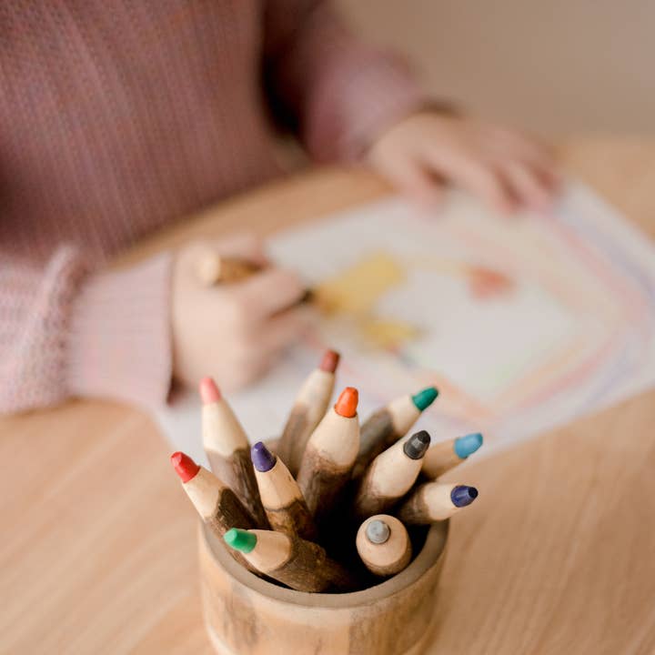 Q Toys - Wholesale Coloured pencil - Tree Color Pencils With Holder3