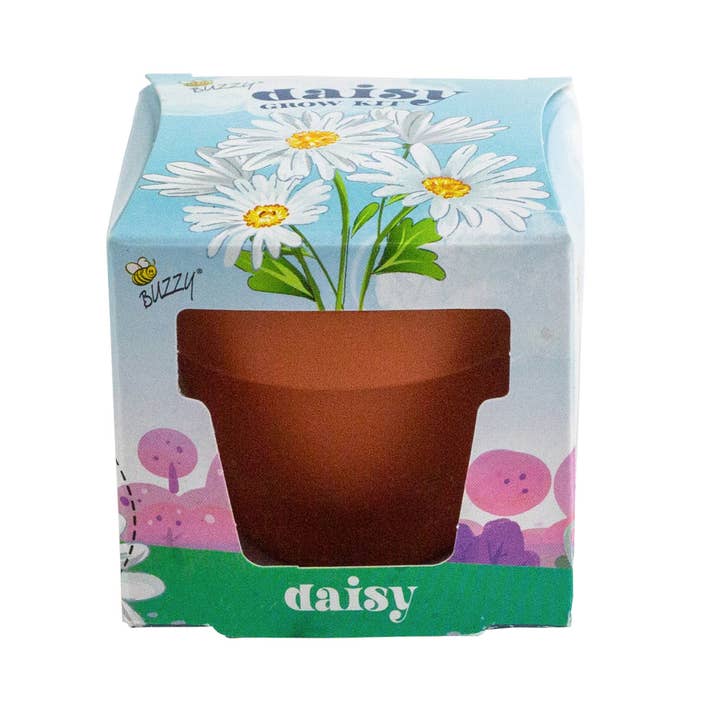 Buzzy, Inc. - Wholesale Plant Seeds - Buzzy Seeds Mini Terracotta Pots - Daisy Grow Kit