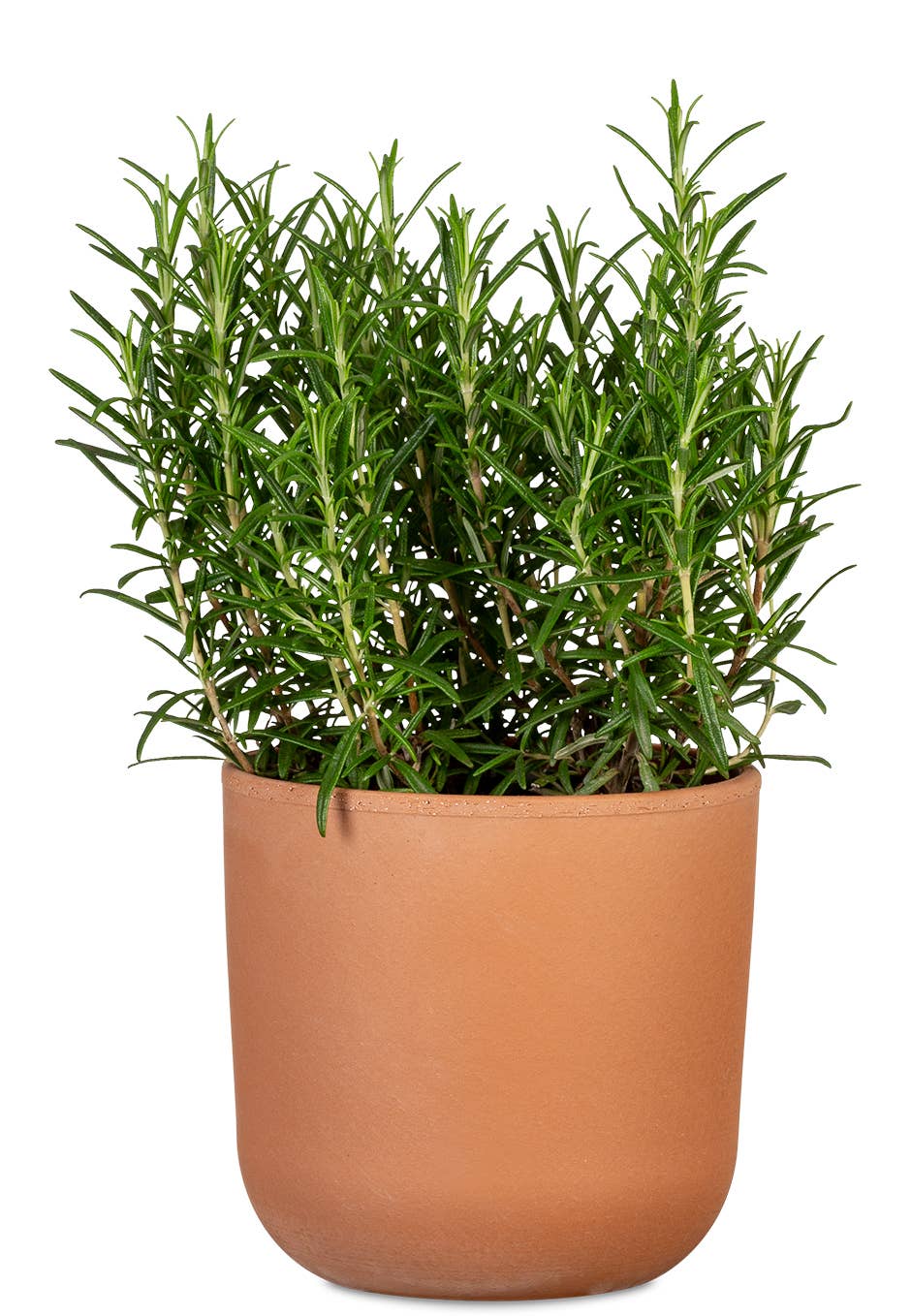 rosso La Natura 982 ceramic flower pot/planter for wholesale on Faire1