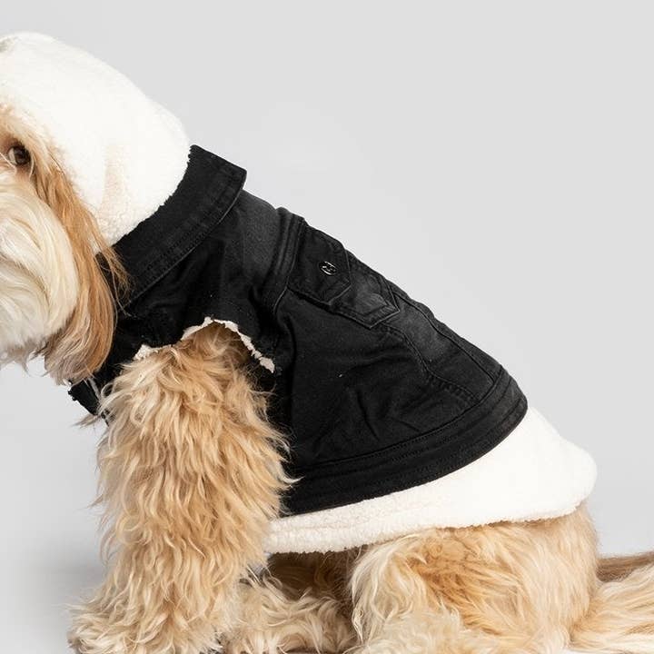 Justin - Denim Dog Jacket (Black) for wholesale by Silver Paw