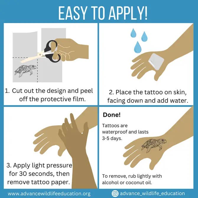 Advance Wildlife Education LLC – wholesale Temporary tattoo – Makai Hawaiian Wildlife Tattoo Sheet (Black) 1