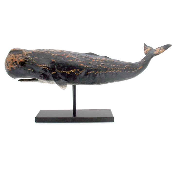 Modern Coastal by Contrast Inc. - Wholesale Decorative Tabletop Object - Black Sperm Whale Trophy3