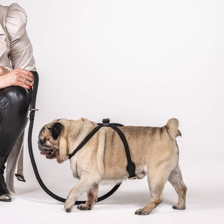 ARISTOPET - Wholesale Pet Harness - Dog - EVARISTO HARNESS5