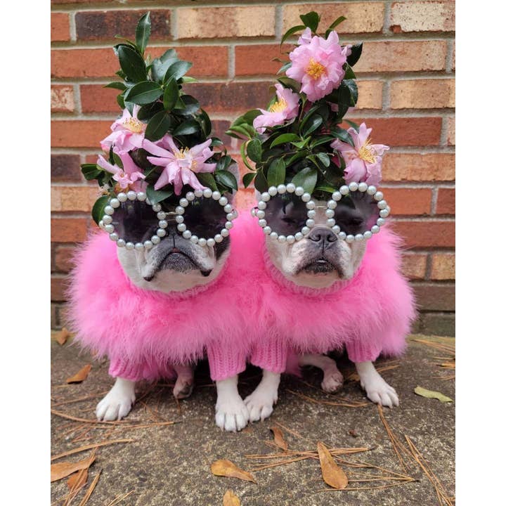 Furr-Baby Gifts - Wholesale Pet Sweater - Dog - Haute Couture Feathered Luxury Pet Sweater3