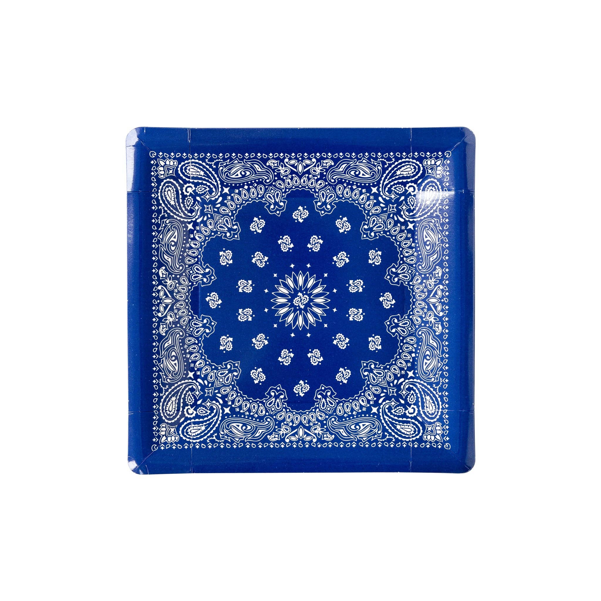 My Mind’s Eye - Wholesale Disposable Plate - PLTS366R-MME - Blue Bandana Paper Plate1