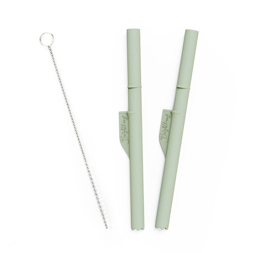 Brightberry - Wholesale Drinking Straw - Silicone Stopper Straws for Smoothie Cup0