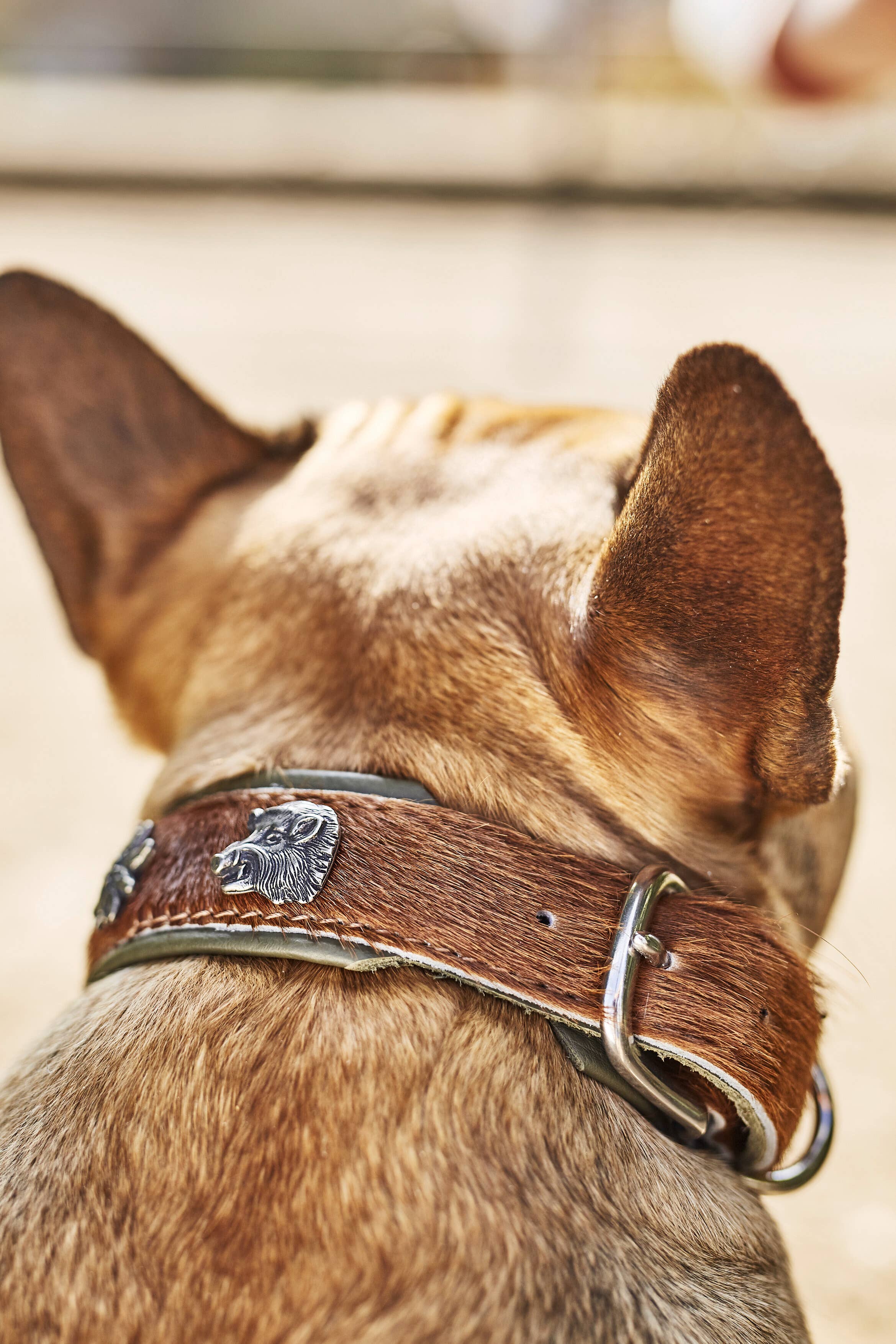 bruin-groen BAVARIA hondenhalsband van nappa en rundsleer voor groothandel op Faire9