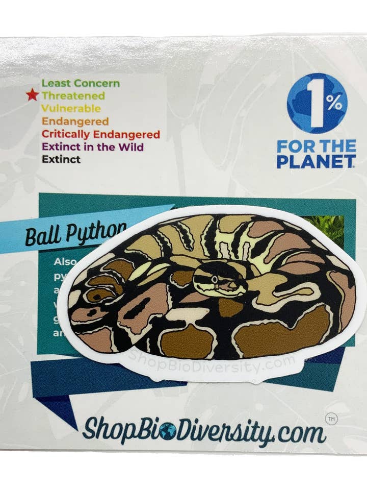 Adesivo em Vinil Ball Python - Durável, Impermeável, Decalque de Cobra por atacado de Shop BioDiversity