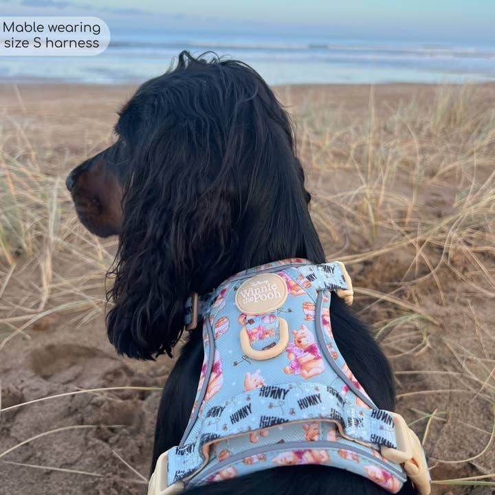 Pawsome Paws – Großhandel Haustiergeschirr – Hund – Disney© Tough Trails™ Geschirr – Winnie Puuh43