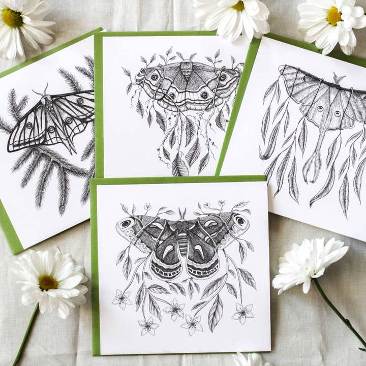 Moths | Juego de cartas surtido en caja para venta al por mayor de Mackenzie Myrick Studio