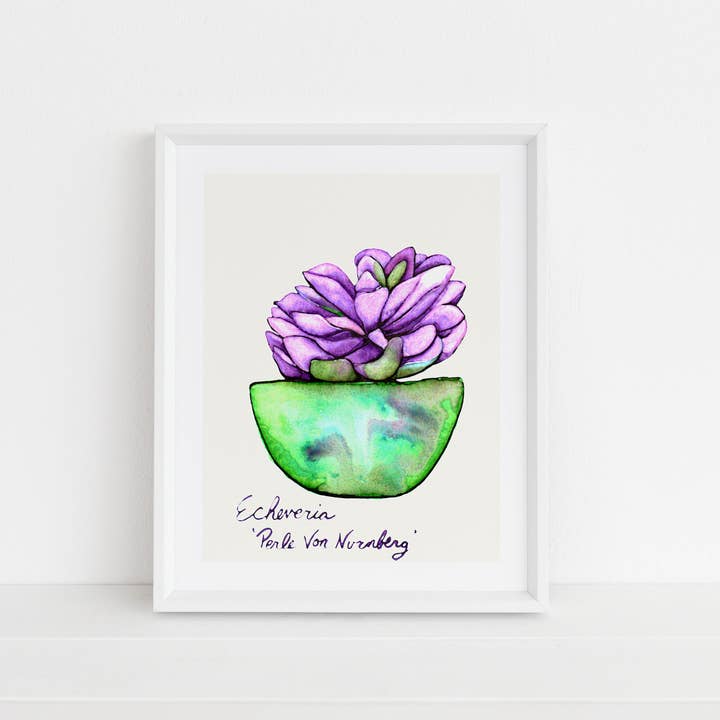 Echeveria Print for wholesale by Crawford Sisters Card Co., LLC