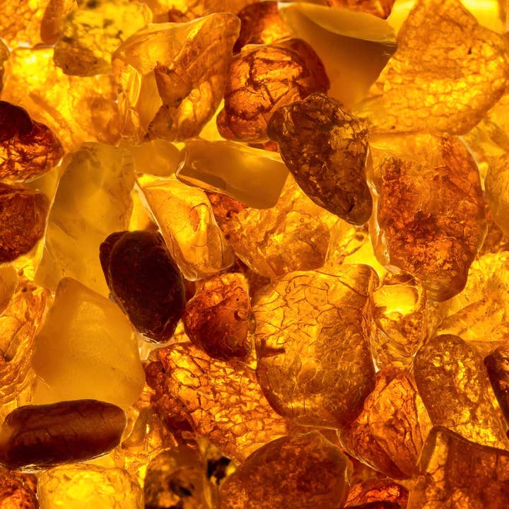 Ägyptisches Amber Duftöl für den Großhandel von Fizzy Whiz