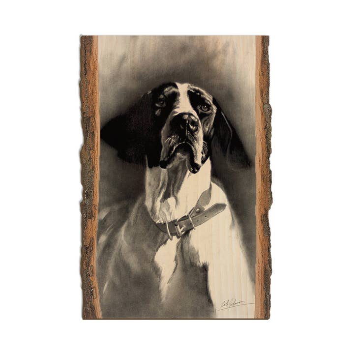 Johnson's Proud Pointer - Live Edge for wholesale by DaydreamHQ