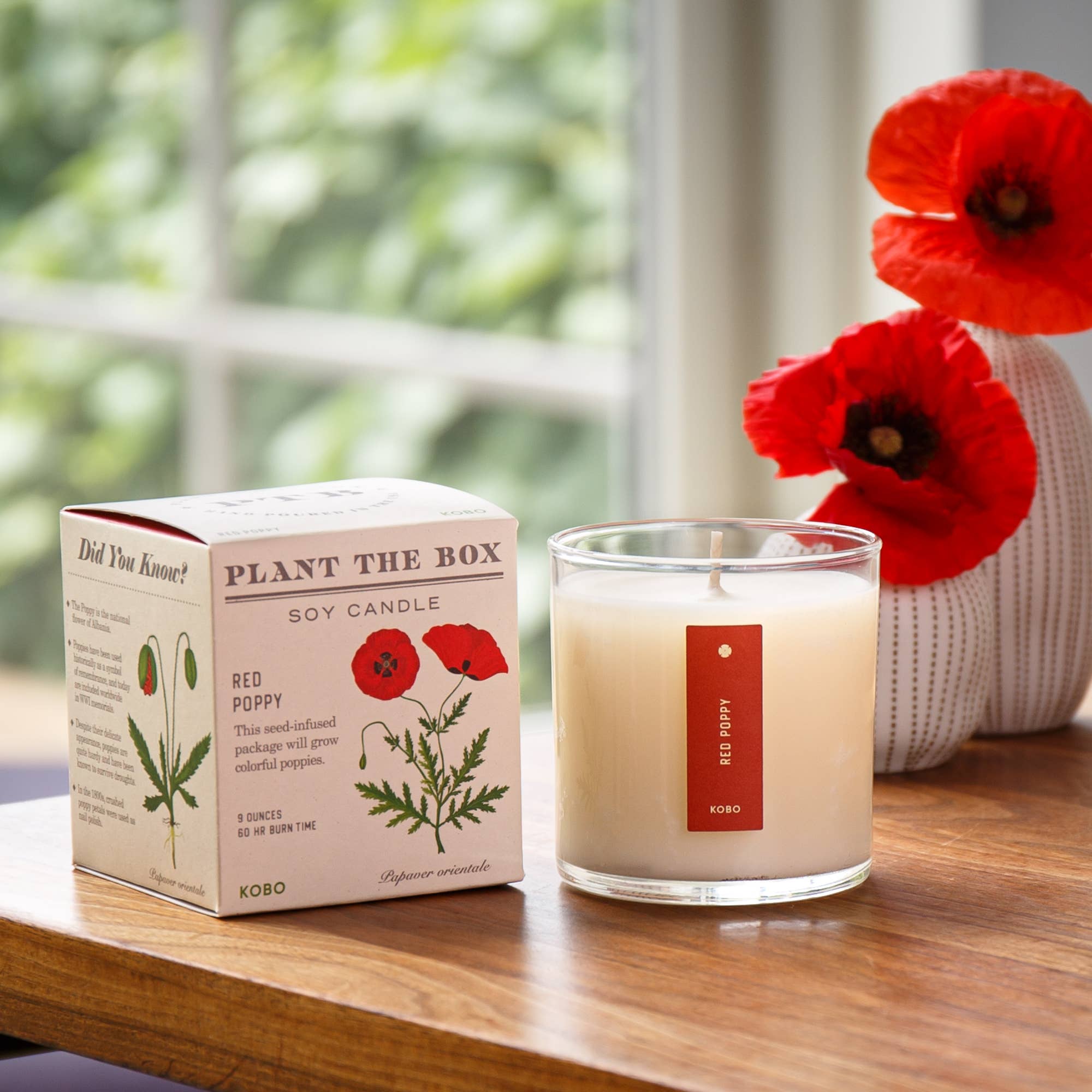 KOBO - Vente Bougie en bocal - Bougie Red Poppy - Plant the Box - 255 g3