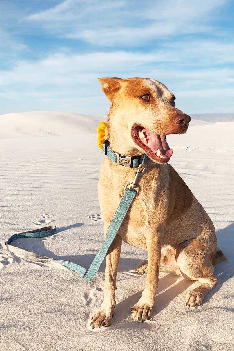 Mimi Green - Wholesale Pet Leash - Dog - Linen Dog Leash (7 colors!)6