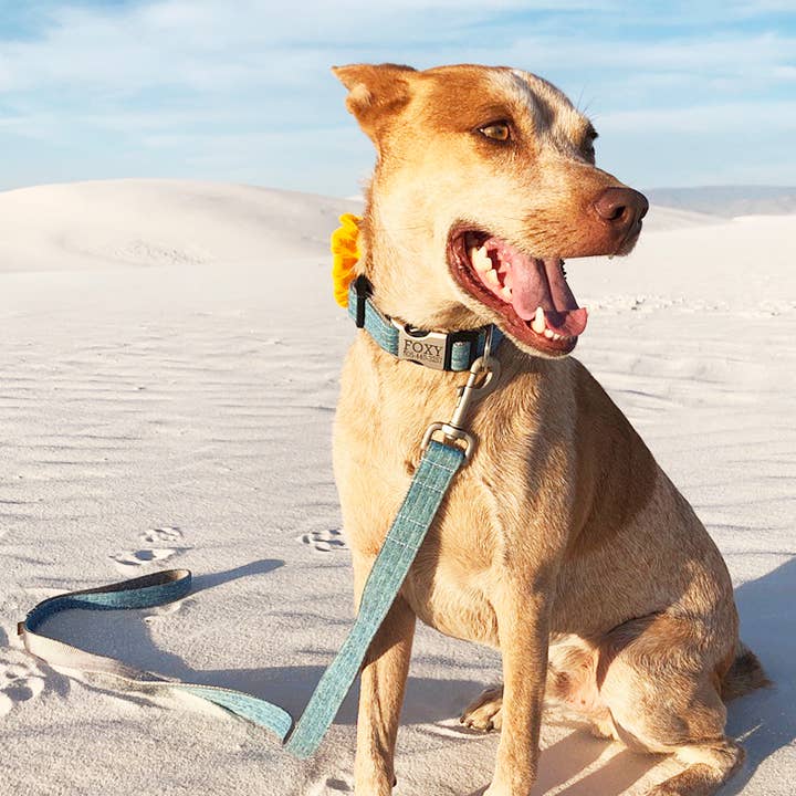 Mimi Green - Wholesale Pet Leash - Dog - Linen Dog Leash (7 colors!)6