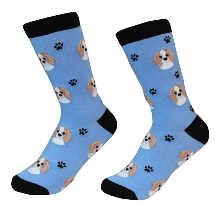 E&S Pets - Wholesale Socks - Unisex - Cavalier King Charles Socks - Unisex - Fun Novelty Socks