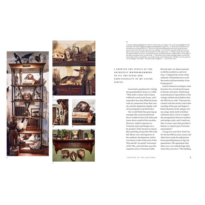 Hachette Book Group - Wholesale Home & Garden - The Art of Gothic Living: Dark Decor for the Modern Macabre4