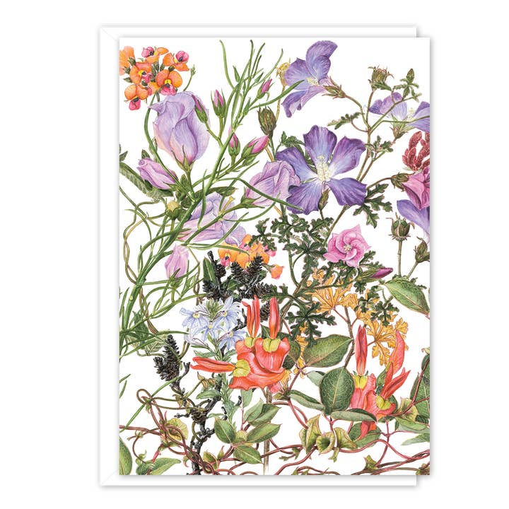 A6 Card: Hibiscus (Cape Arid) for wholesale by STUDIO NIKULINSKY