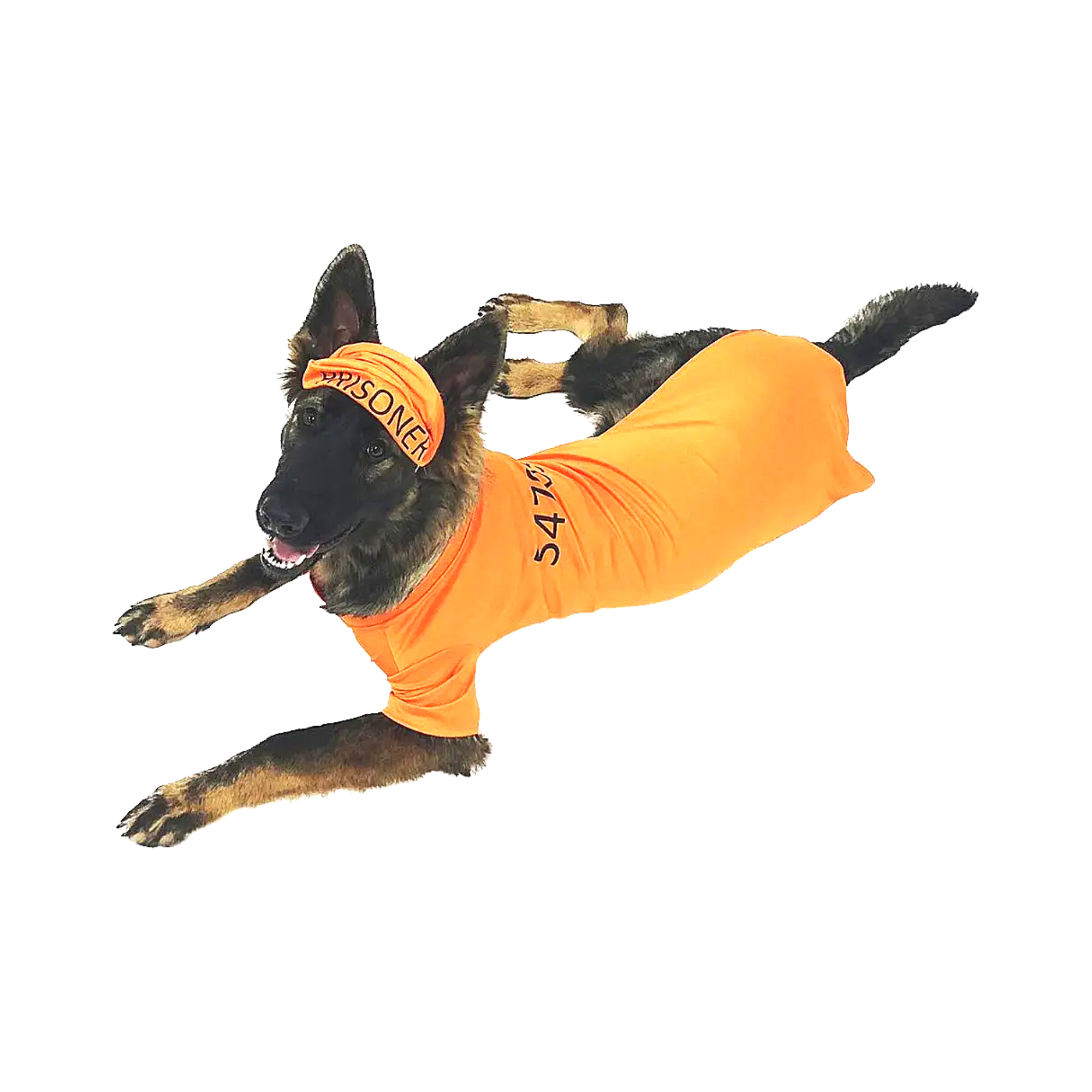 Midlee Designs - Venta al por mayor Disfraz - Perros - Disfraz de prisionero naranja Midlee1