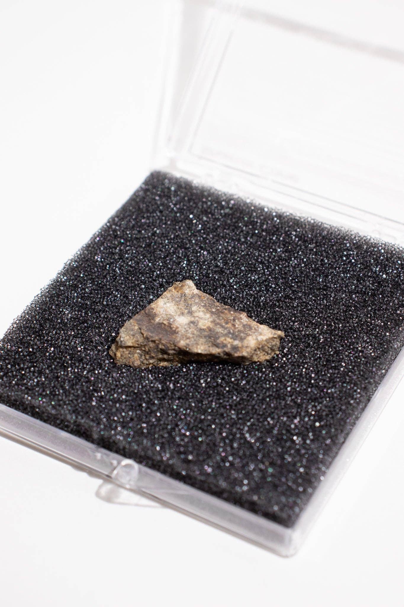 Stemcell Science Shop – wholesale Decorative tabletop object – Shatter Cone2