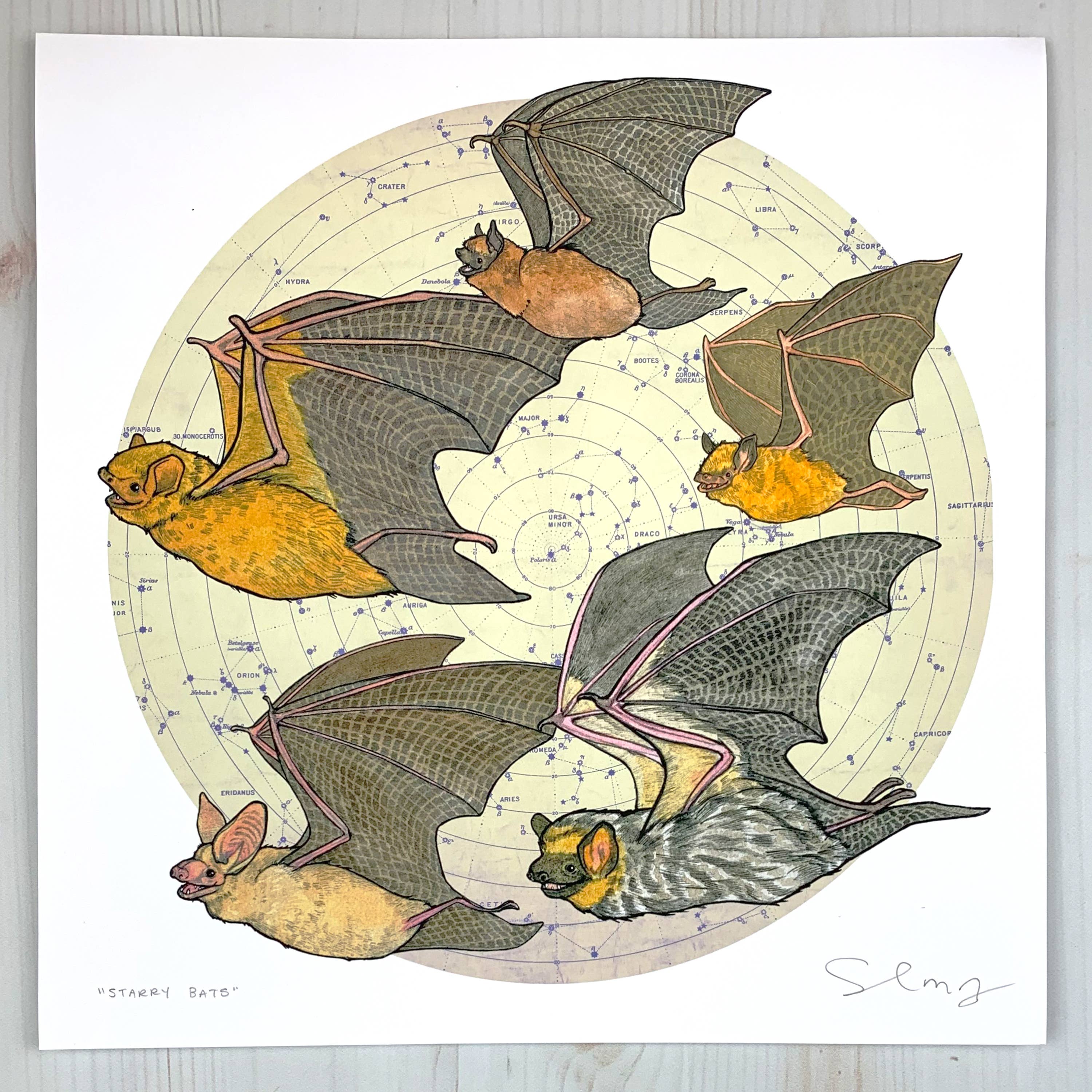 Sarah Draws Things - Wholesale Art Print - Starry Bats - North American Native Bats - Archival Print1