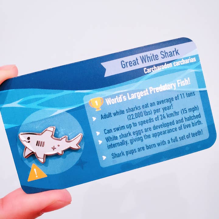 Informative Enamel Pin: Great White Shark for wholesale by Umvvelt LLC