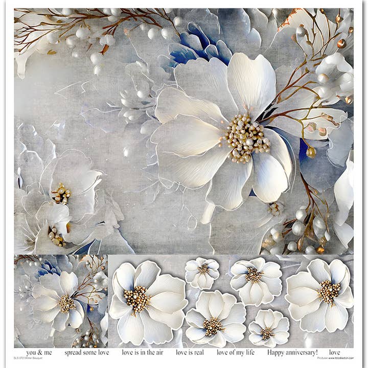 SLS-072 - ensemble de 11 pièces x 310x320 mm / 12,2x12,6 po - 200 GSM pour la vente par ITD Collection