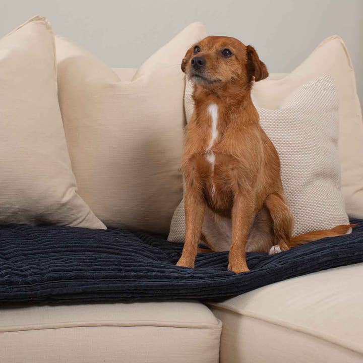 Sofa Topper in Navy Essentials Plush by Lords & Labradors for wholesale on Faire